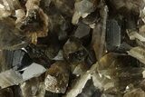 Dark Smoky Quartz Crystal Cluster on Metal Stand - Brazil #274488-4